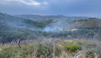 Peshtan/ Zjarri përfshin zonën me bimësi, zjarrfikësit shuajnë vatrën