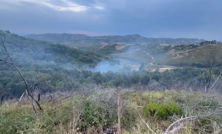 Peshtan/ Zjarri përfshin zonën me bimësi, zjarrfikësit shuajnë vatrën