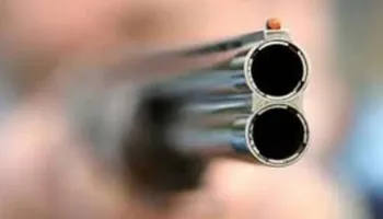 Plagoset me çifte një person në Bulqizë, autori mendoi se qëlloi derrat që i dëmtonin të mbjellat