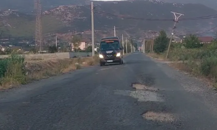 Plagosja e 22-vjeçarit në Kurbin, reagon policia