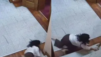Po vraponte pas Agron Shehajt, Agron Shehajn që i mori dokumentin strategjik, momenti kur këshilltarja e Parlamentit godet kokën në dysheme