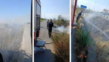 Prefekti i Tiranës, Shkëlqim Hajdari, apel për zjarret: “Të mbrojmë territorin!” – shoqërohen 3 autorë në rrogozhinë