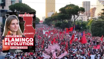 Protestat vijojnë të marrin mbështetje në BE/ Eurodeputetja franceze niset drejt Shqipërisë: Populli po ngrihet…