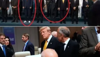 Rama dështim spektakolar në samitin e NATO-s, presidenti Trump e përzë me “shkelma”, ja ç’ndodhi gjatë aktivitetit…