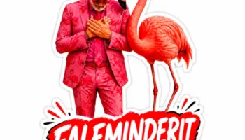 Rama poston foto me flamingon, falënderon qytetarët që e uruan për ditëlindjen