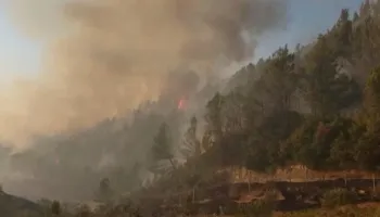 Raporti i AKM/ ‘Flakët’ e 2025-ës dogjën mijëra hektarë pyje e kullota! Dëmi ekonomik 77 milionë euro, kryeson Vlora