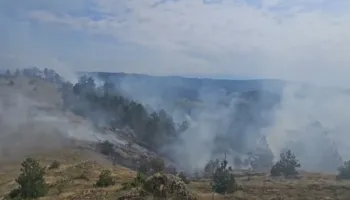 Riaktivizohet zjarri në Voskopojë, flakët përhapen në sipërfaqet pyjore me pisha