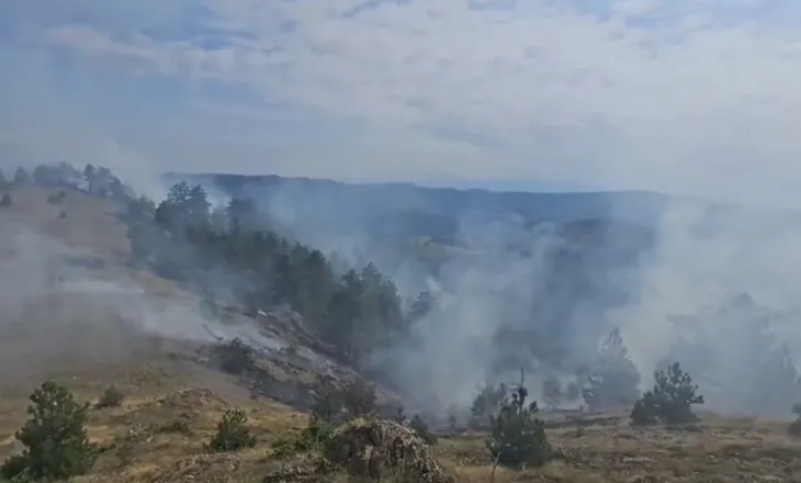 Riaktivizohet zjarri në Voskopojë, flakët përhapen në sipërfaqet pyjore me pisha
