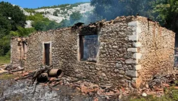 Rrënqethëse/ Zjarri u mori jetën, nëna 24-vjeçare mbante në krahë foshnjën, fëmija tjetër pranë saj