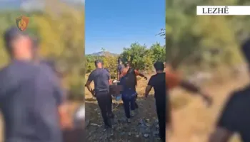 Rrëzohet teksa ruante bagëtitë mbi Kalanë e Lezhës, 71-vjeçari dërgohet te Trauma