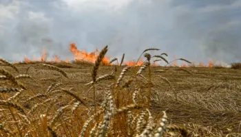 Rusia shënjestron të lashtat ukrainase me bomba ndezëse për t’i djegur të korrat