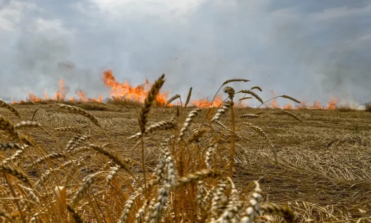 Rusia shënjestron të lashtat ukrainase me bomba ndezëse për t’i djegur të korrat