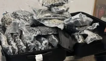 Sekuestrimi i drogës në Rinas, njëri prej autorëve tentoi t’i shmangej kontrollit me pretendimin se gruaja ishte shtatzënë