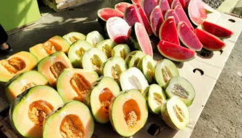 Shalqiri apo pjepri: Cili frut është më i mirë për nivelet e sheqerit në gjak?