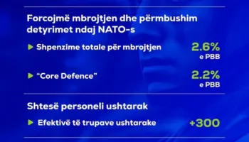 SHBA njeh kontributin shqiptar në NATO, ambasadori amerikan: Po na japin bazat dhe aksesin që na nevojitet