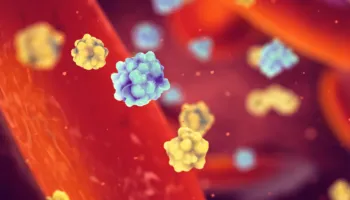 Shkencëtarët zbulojnë një shkak të fshehur të diabetit: Insulina e dëmtuar mund të përshpejtojë sëmundjen
