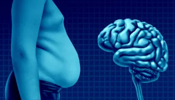 Shkencëtarët zbulojnë se si obeziteti mund të nxisë sëmundjen e Alzheimerit