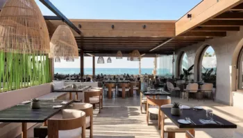 Shoqata e Bareve dhe Restoranteve raporton rënie të konsumit deri në 35%, “çunat e jugut” nuk po konsumojnë nga frika e SPAK