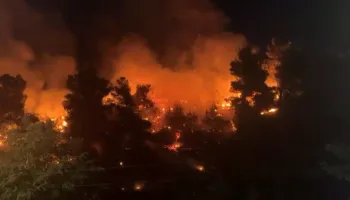 Shuhet pas 24 orësh zjarri në malin e Shëngjinit, arrestohet 57-vjeçari