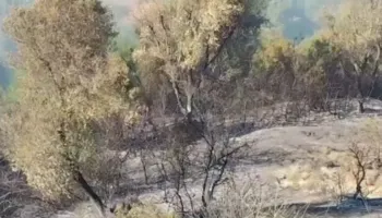 Shuhet pas 5 orësh zjarri në Shelegar dhe Bregas të Finiqit, digjen disa hektarë tokë