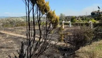 Shuhet plotësisht zjarri në Drizë e Peshtan, mbi 100 hektarë të djegur, evakuohen 7 familje dhe arrestohet një person