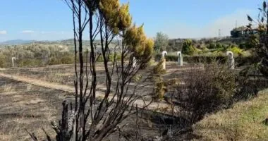 Shuhet plotësisht zjarri në Drizë e Peshtan, mbi 100 hektarë të djegur, evakuohen 7 familje dhe arrestohet një person