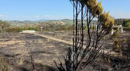 Shuhet vatra e zjarrit në Peshtan