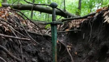 Si në një film aventurash! Po ecte në pyll dhe gjeti një shpatë 2,700-vjeçare të ngulur drejt në tokë