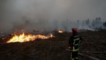 Situata me zjarret/ Gjermania do të dërgojë avionë ushtarakë në Francë