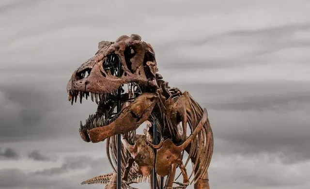 Skeleti i T. Rex-it “Gus” shitet për 50.1 milionë dollarë, vendos rekord botëror në ankand