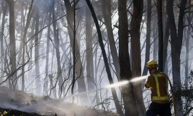 Spanjë, 12 persona humbin jetën nga zjarri