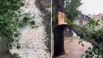 Stuhi e fortë në Korçë,  Stuhi e fortë në Korçë, era rrëzon pemët në bulevard! Breshëri dëmton të mbjellat në Devoll