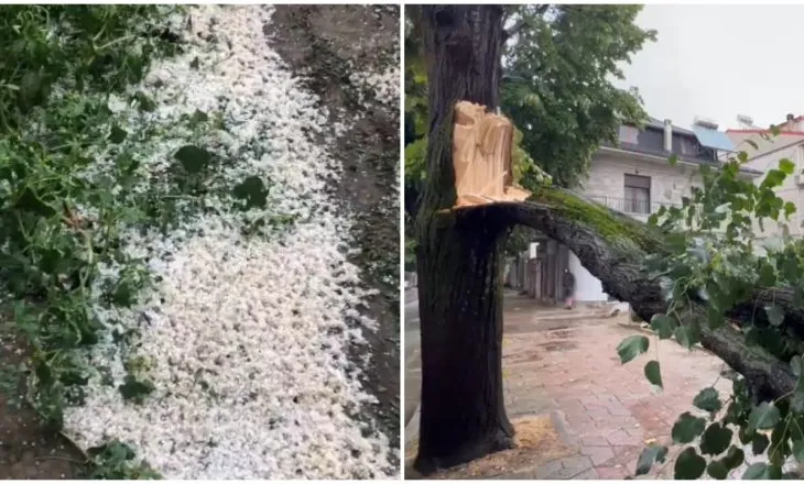 Stuhi e fortë në Korçë,  Stuhi e fortë në Korçë, era rrëzon pemët në bulevard! Breshëri dëmton të mbjellat në Devoll