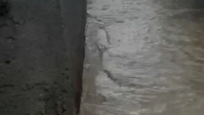 Stuhia e shiut dhe breshërit godet Elbasanin/ Evidentohen dëme në qytet dhe në zonat rurale