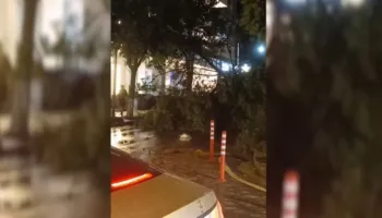 Stuhia prek Sarandën gjatë natës, tre persona të plagosur nga thyerja e xhamave, pema e rrëzuar dëmton automjetet