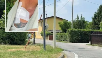 Tentoi të largohej nga trafiku i drogës, shqiptarit i bëjnë atentat dy bashkëatdhetarët