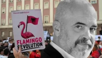 Tirana dhe Revolucioni i Flamingove: Një protestë kundër pushtetit dhe frikës