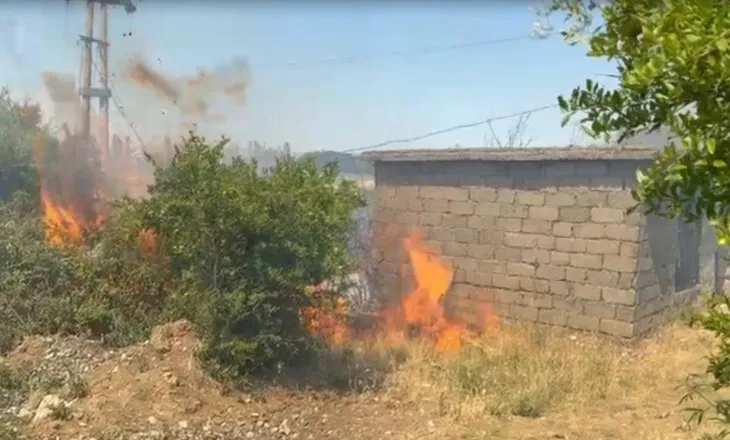 Tjetër vatër zjarri në Lezhë, flakët përfshijnë sipërfaqe me shkurre në fshatin Pllanë