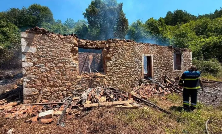 Tragjedia në Domen, Boçi: Pasojë e papërgjeshmërisë së pushteteve qendrore dhe lokal në Shkodër