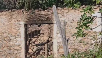 Tragjedia në Shkodër/ Zbardhen detaje nga hetimi për vdekjen e nënës dhe dy fëmijëve, ekspertiza nxjerr shkakun e zjarrit
