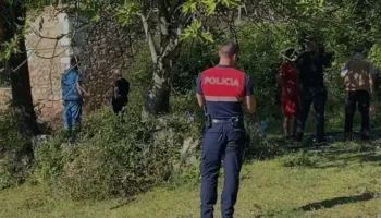 Tragjedia/ Nëna me dy fëmijët jetonin në Gjermani, ja pse ndodheshin në banesën ku u gjetën të shkrumbuar