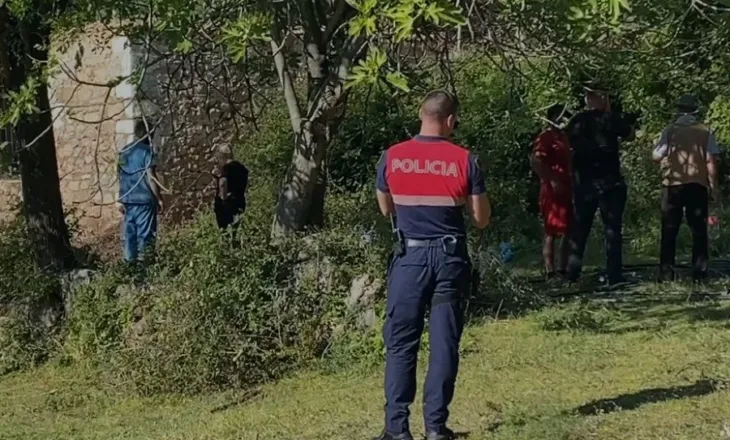 Tragjedia/ Nëna me dy fëmijët jetonin në Gjermani, ja pse ndodheshin në banesën ku u gjetën të shkrumbuar