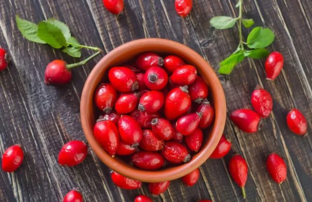 Trëndafili i egër: Fruti i pasur me vitaminë C që forcon imunitetin, dhe përmirëson shëndetin
