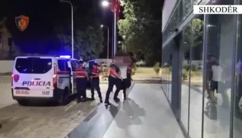U kapën në lokal me armë zjarri, municion luftarak dhe lëndë narkotike, arrestohen tre persona në Shkodër
