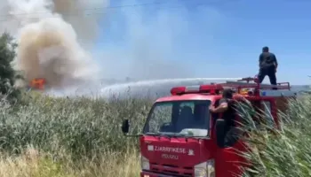 Vatër zjarri në plazhin e Tales, flakët përfshijnë zonën me kallamishte dhe avancojnë përgjatë bregdetit
