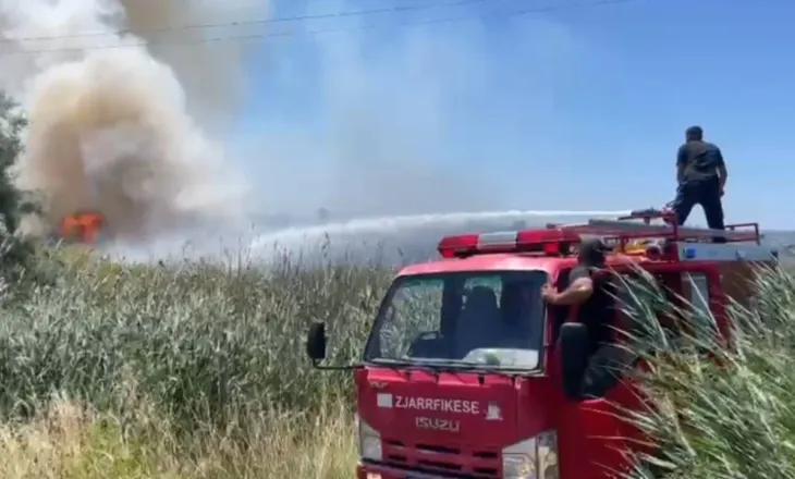 Vatër zjarri në plazhin e Tales, flakët përfshijnë zonën me kallamishte dhe avancojnë përgjatë bregdetit
