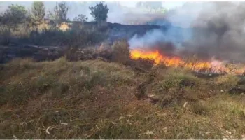 Vatër zjarri pranë Novoselës, flakët iu afrohen banesave
