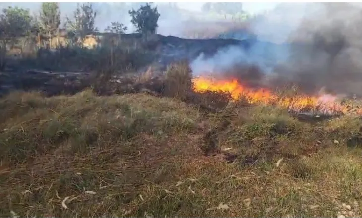 Vatër zjarri pranë Novoselës, flakët iu afrohen banesave