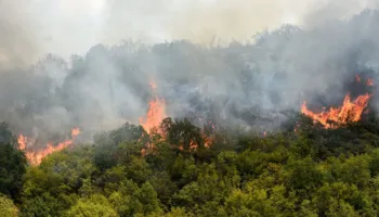 Vatra të reja zjarresh në Europë, flakët po favorizohen nga era dhe temperaturat e larta