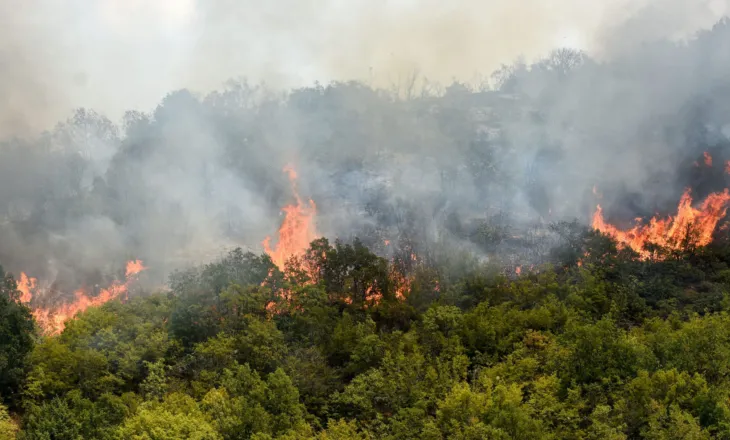 Vatra të reja zjarresh në Europë, flakët po favorizohen nga era dhe temperaturat e larta